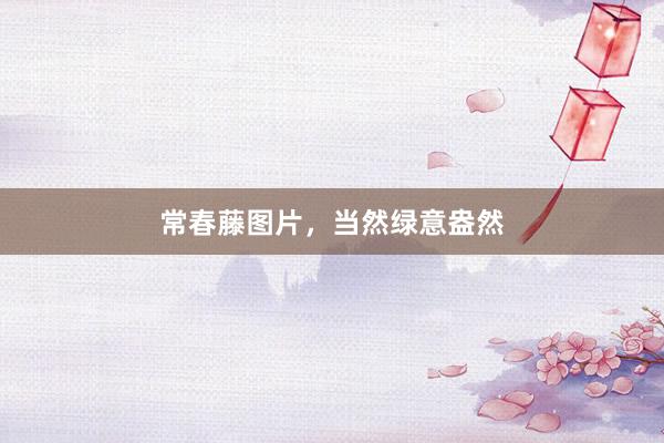 常春藤图片，当然绿意盎然