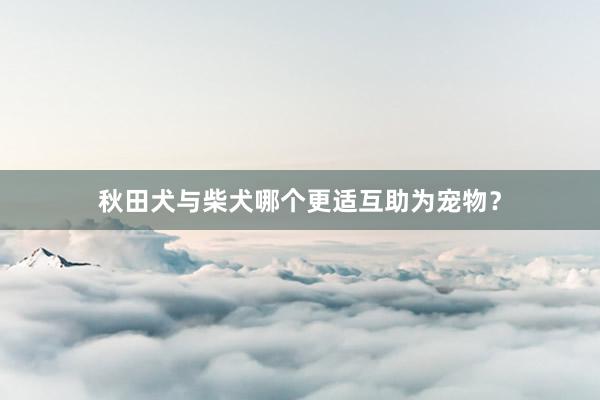 秋田犬与柴犬哪个更适互助为宠物？