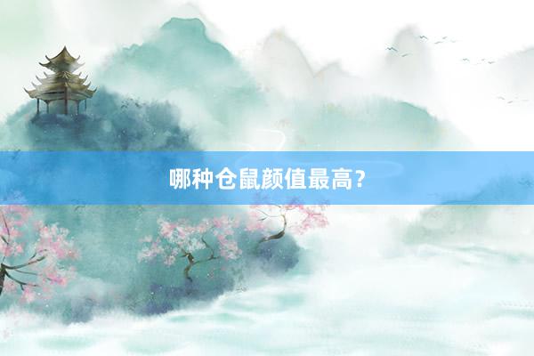 哪种仓鼠颜值最高？