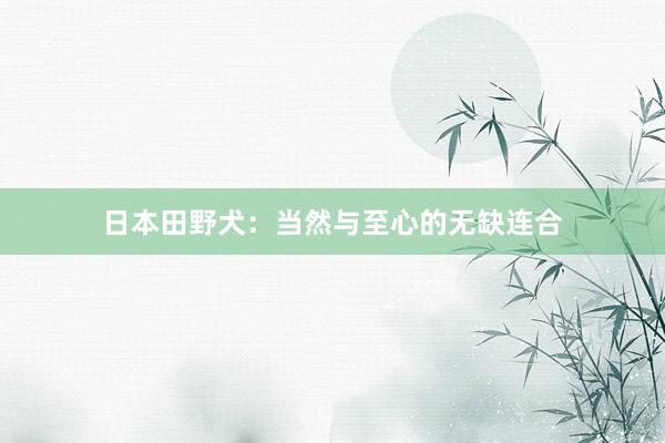 日本田野犬：当然与至心的无缺连合